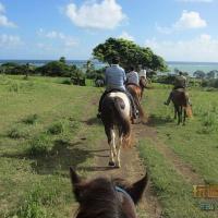 夏威夷-古蘭尼牧場3-電影之旅之旅ATV和騎馬