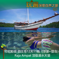 印尼西巴布亞四王島Raja Ampat船宿12天11晚（浮潛登島套餐）