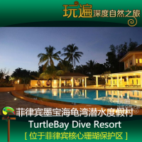 菲律賓墨寶海龜灣潛水度假村浮潛深潛套餐Turtle Bay Dive Resort-宿務出發(fā)