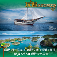 印尼西巴布亞四王島Raja Ampat船宿8天7晚（浮潛登島套餐）