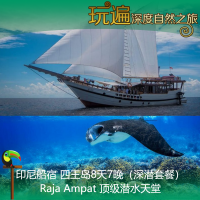 印尼西巴布亞四王島Raja Ampat船宿8天7晚（深潛套餐）